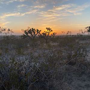 Antelope Valley