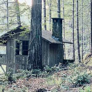 Historic Camping Cabin 37