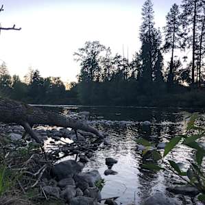 Such an awesome sunset! The river turns into a bit of a roaring rapids just past the property and sounds super cool.