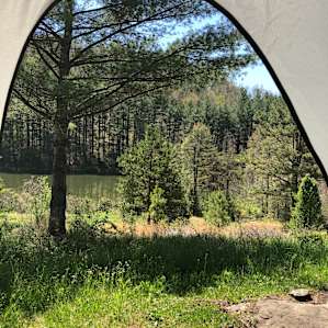 The view from my door