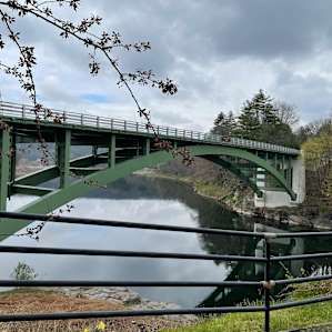 Riverfront Camspite