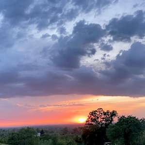7 Acre Farm With Many Amenities