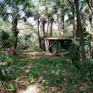 Swamp Paradise 🚣 in the Forest 🌴