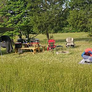 Welcome to Farm under the Sun