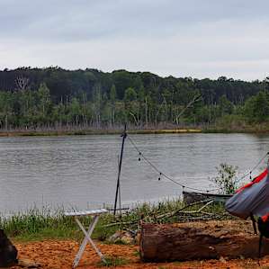 Camp Strong Wood