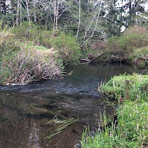 Hidden waterfall and creek