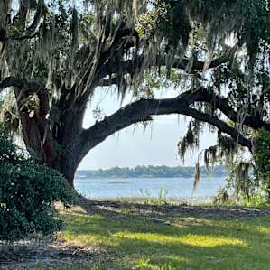 McKinnon Groves