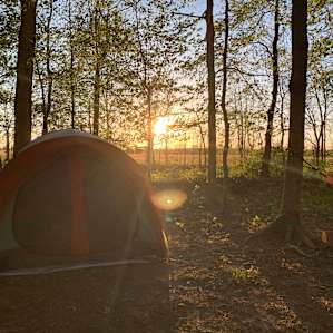 Hidden Woods--Tent Site #1
