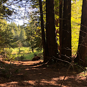 View from the toilet at site #4