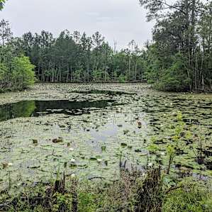 Silsbee RV Park