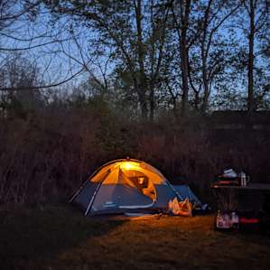 Grace's Blueberry Orchard Camping