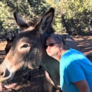 Timber Ridge Critter Camp