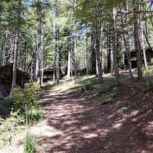 The path to Cabin 36.