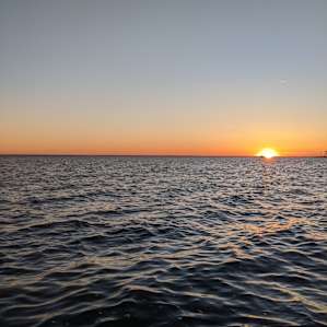 Sunset Farms - Best on the bay.