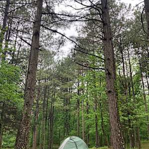 Fancy Hill-Tent/Small RV Primitive