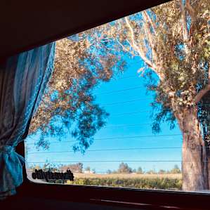 Morning view