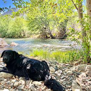 River Willow Cabin on Kern River