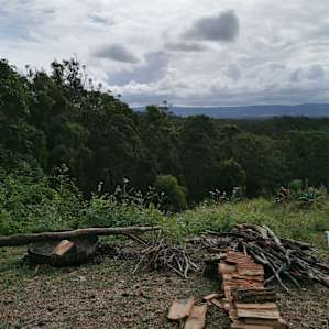 Great fire pit, and ample firewood.