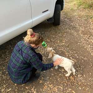 Ohana Goat Ranch and Campsite