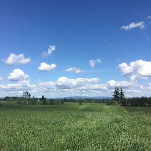 Grace Acres Scenic RV Camping