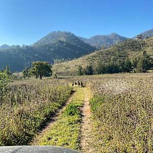 Field of Dreams Stargazing 4WD Camp