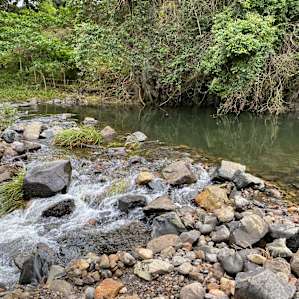 Swimming area