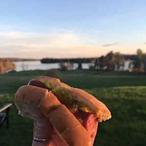 Dogs over a fire with a view