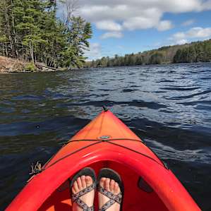 Rent a kayak and paddle out to the eagles' nest!