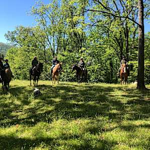 Chapel ride