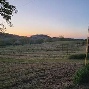 4R Ranch Vineyards & Winery RV Site