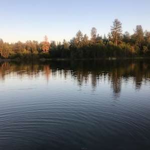 Photo of A2 - Lakeside  - Finnon Lake Recreation Area (24)