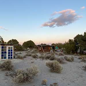 Juniper camp