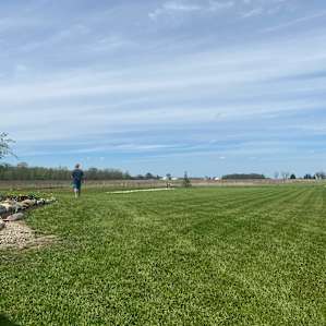 Another view from the property