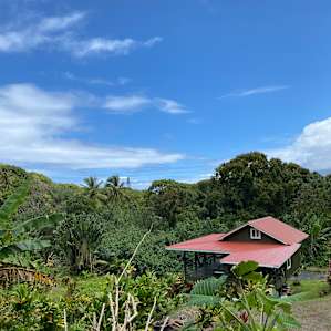 Hawaiian jungle escape -4WD