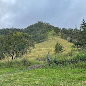 East view