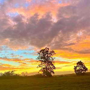 Epic sunset