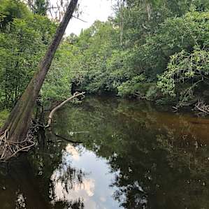 Westminster Woods Site 6 (RV/Tent)