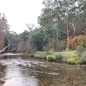 Howqua River Valley Camping