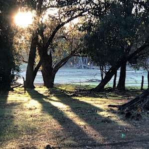 @Hammans Place - Creek Paddock