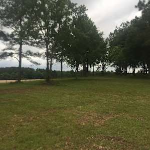 Gorgeous North FL Campsite