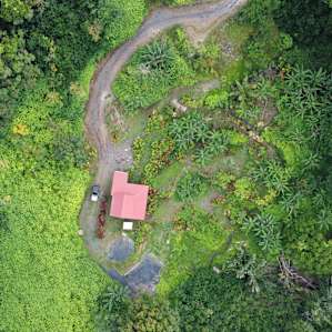 Hawaiian jungle escape -4WD