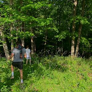 Creekside Camping, Forest & Field
