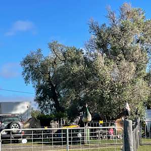 Top Paddock - Unpowered