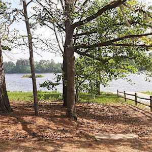 Little Pee Dee Campground