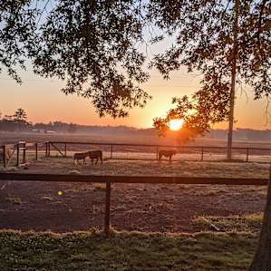 Bright Star Farm