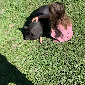 Cute little potbelly getting some lovins.