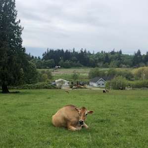 Farm Sanctuary with Mountain Views