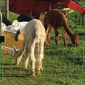 Red Barn Farm Experience RV Style