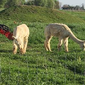 Red Barn Farm Experience RV Style