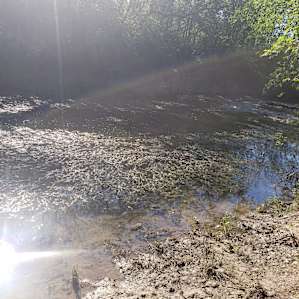 River Rock Camp